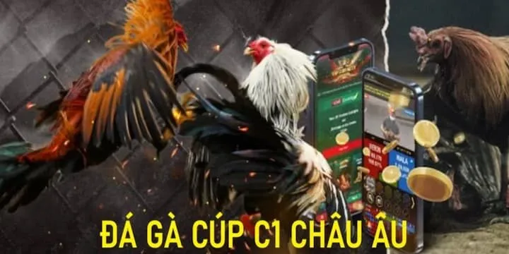 Đá gà cúp C1 tại địa chỉ uy tín
